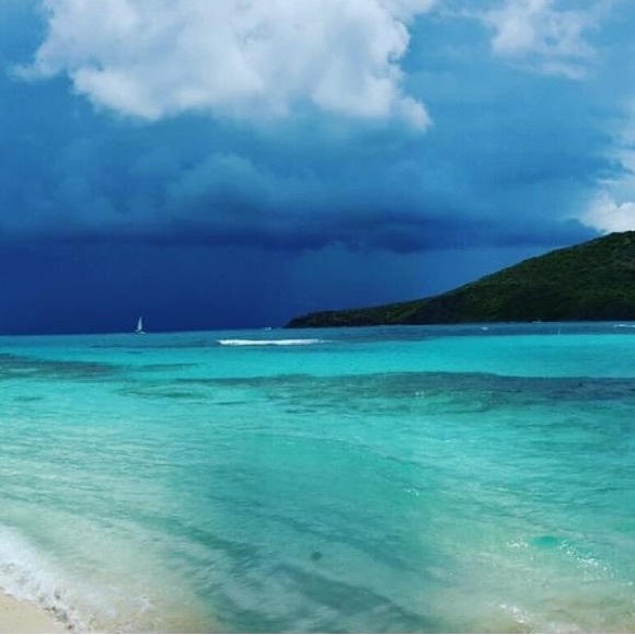 Meet your Posher, Coral - Picture 1 of 1